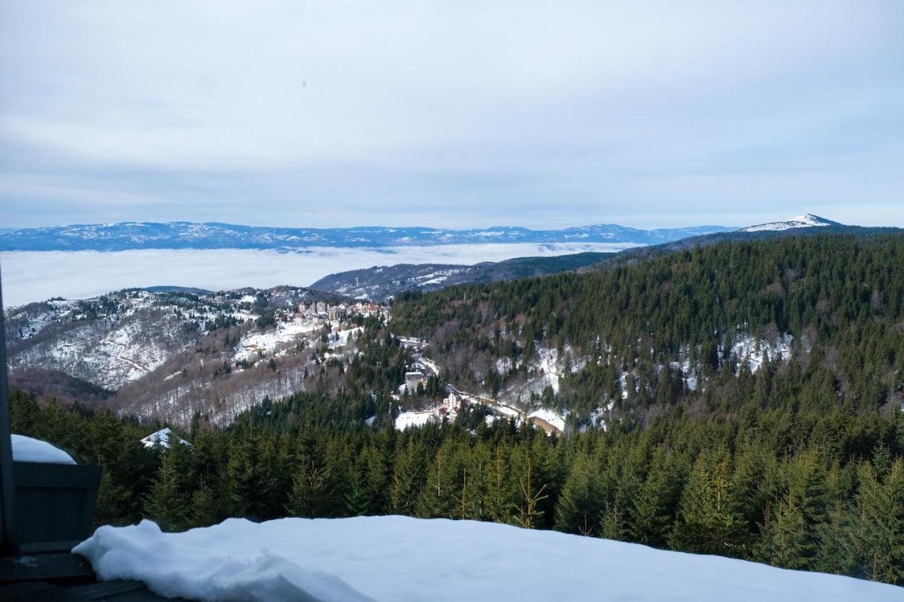 Vila Planinsko Blago Kopaonik Bagian luar foto